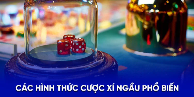 Hướng Dẫn Cách Chơi Xí Ngầu Luôn Thắng Cho Người Mới 2025 1 Các hình thức cược xí ngầu phổ biến