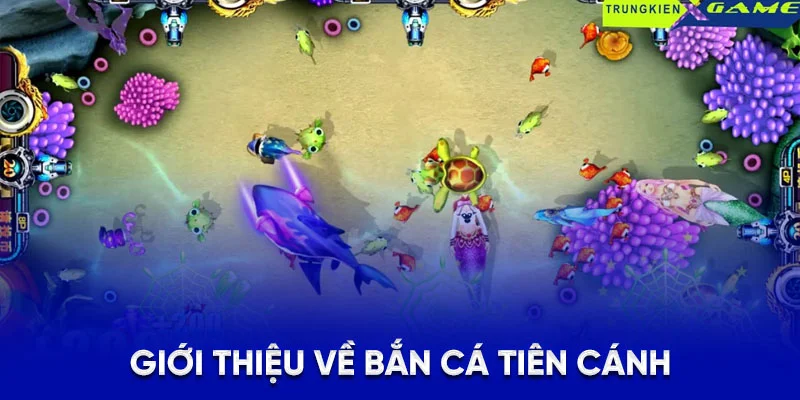 Giới thiệu về bắn cá tiên cánh