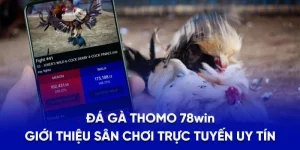 Đá Gà Thomo 78WIN - Giới Thiệu Sân Chơi Trực Tuyến Uy Tín
